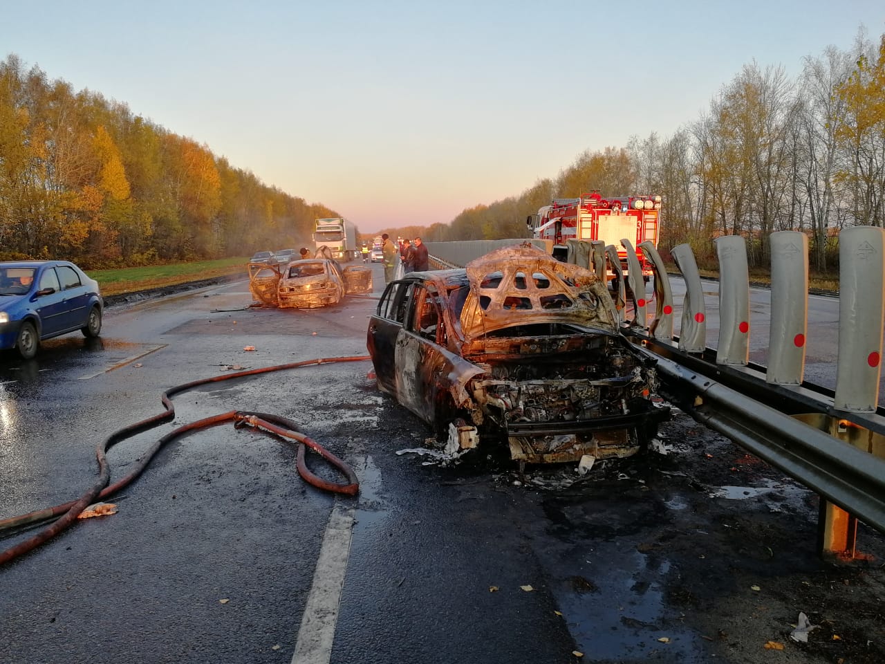 В страшном ДТП под Тамбовом пострадали три человека, один сгорел заживо -  ПроТамбов