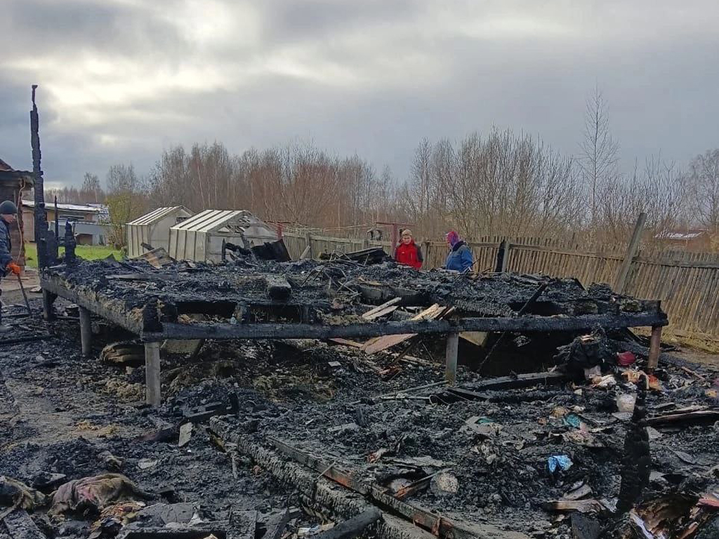 Пожар в Заворонежском Мичуринского района полностью уничтожил жилой дом:  погиб мужчина | 05.11.2022 | Тамбов - БезФормата