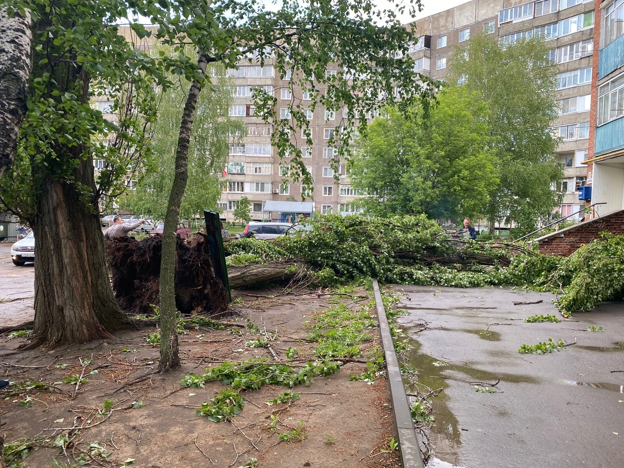 После урагана Котовск завалило деревьями - ПроТамбов