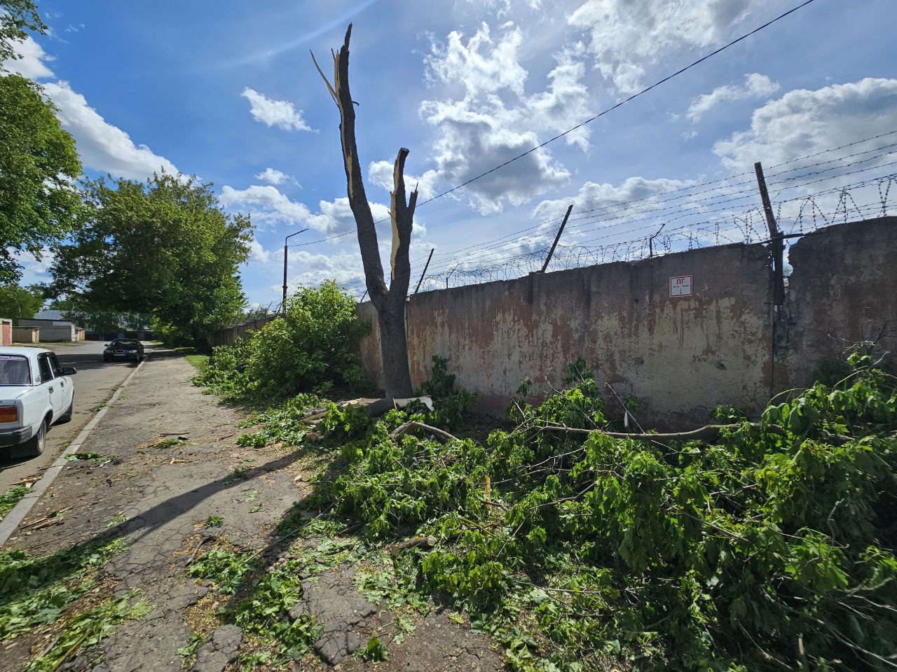 На Воздвиженском кладбище дерево упало на два автомобиля | 06.05.2024 |  Тамбов - БезФормата